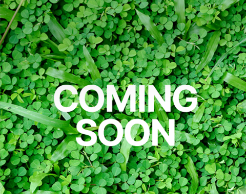 컨테이너하우스 이미지